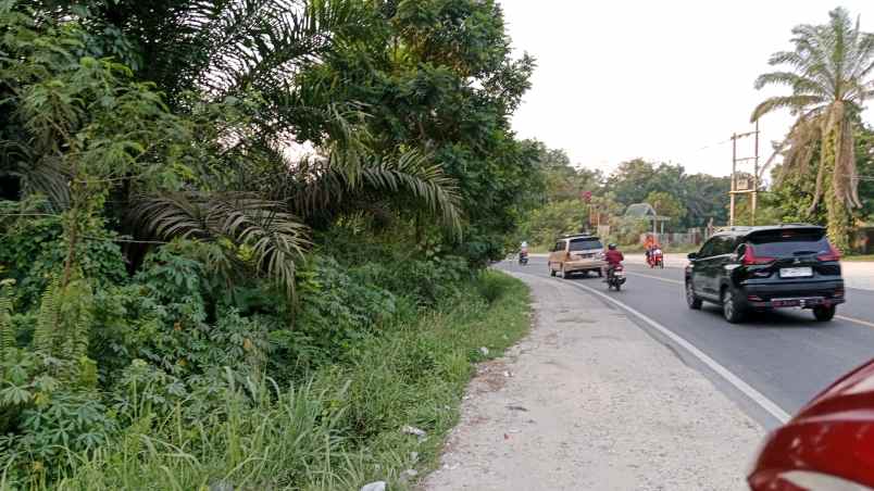 dijual tanah pinggir jalan raya lintas provinsi