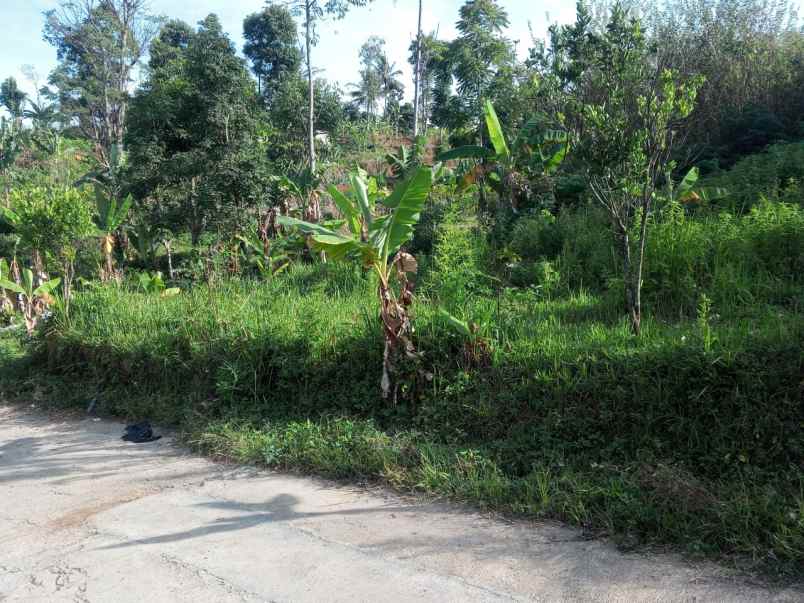 dijual tanah pinggir jalan sayap