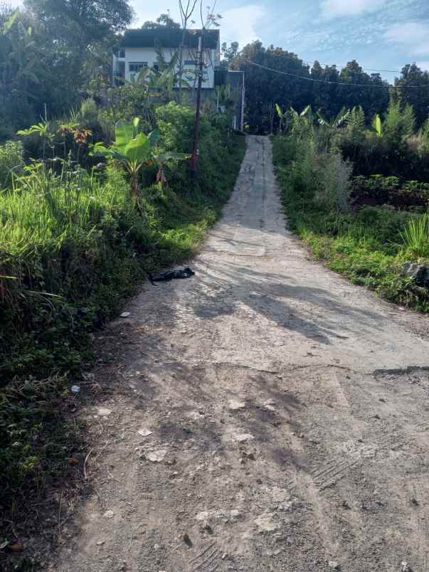 dijual tanah pinggir jalan sayap