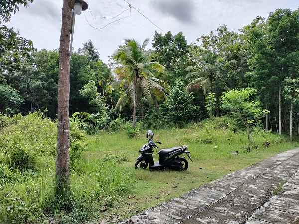 dijual tanah salakan bangunjiwo kasihan