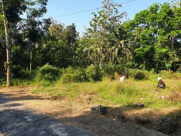 dijual tanah salakan bangunjiwo kasihan