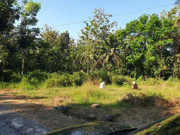 dijual tanah salakan bangunjiwo kasihan