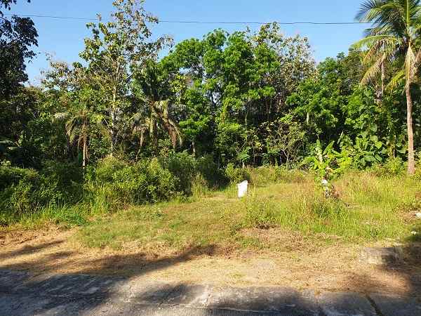 dijual tanah salakan bangunjiwo kasihan