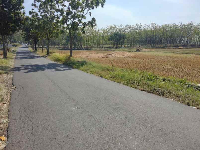 dijual tanah sarwadadi kec talun cirebon