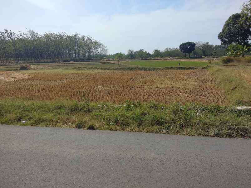 dijual tanah sarwadadi kec talun cirebon