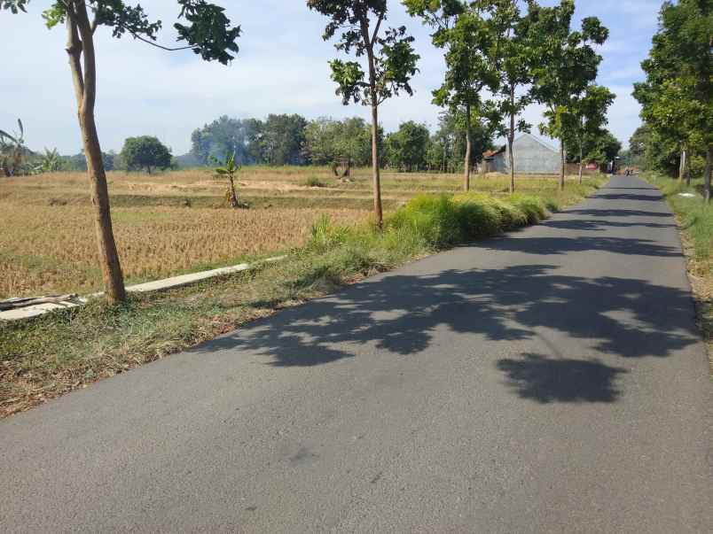 dijual tanah sarwadadi kec talun cirebon