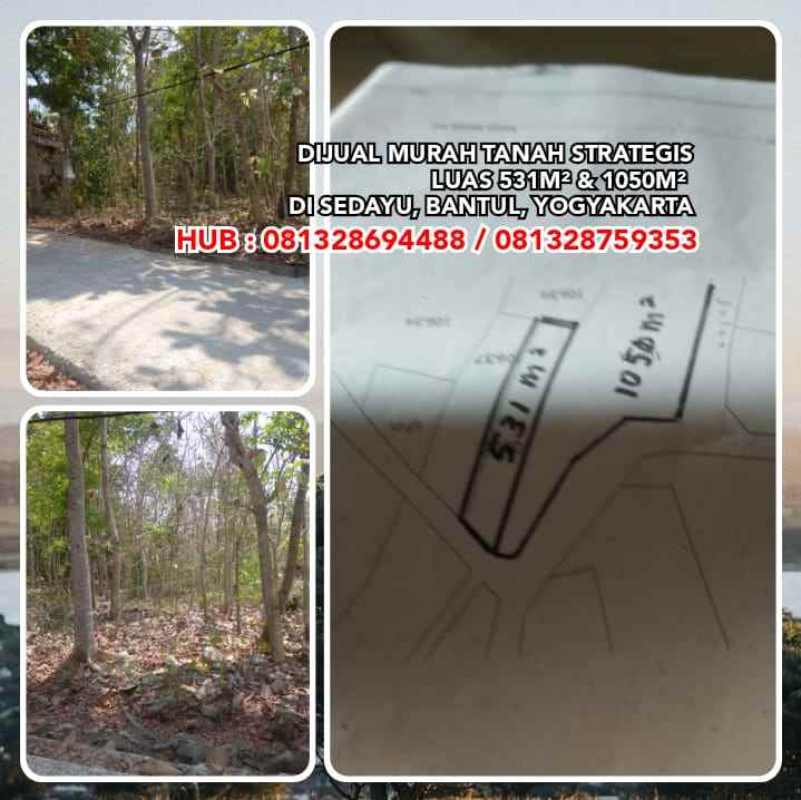 dijual tanah sedayu bantul yogyakarta