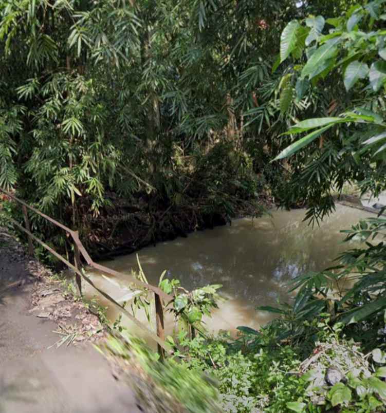 dijual tanah selemadeg timur tabanan bali