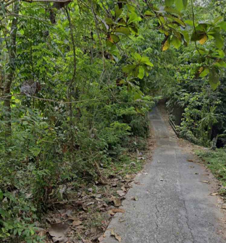 dijual tanah selemadeg timur tabanan bali