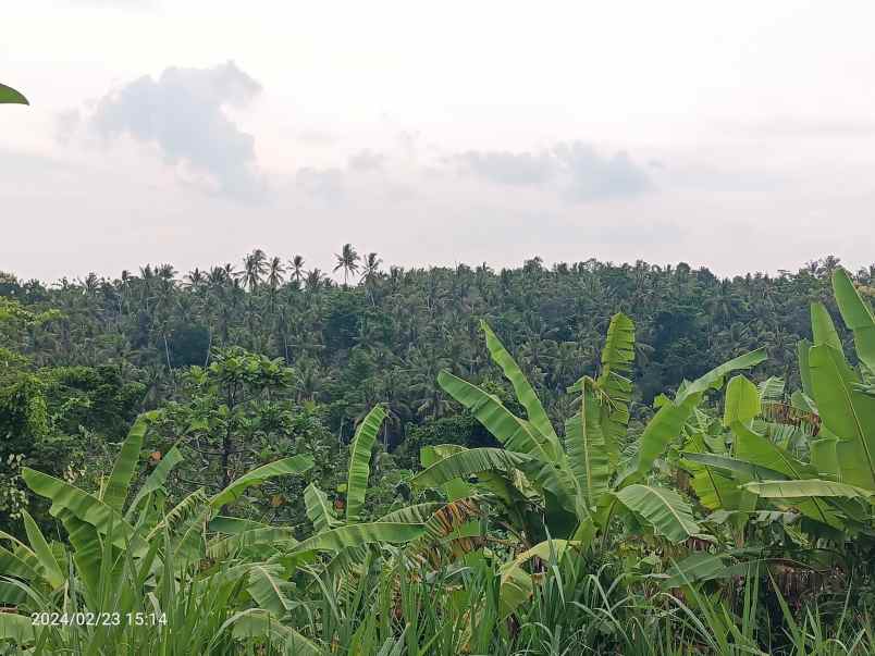 dijual tanah selemadeg timur tabanan bali