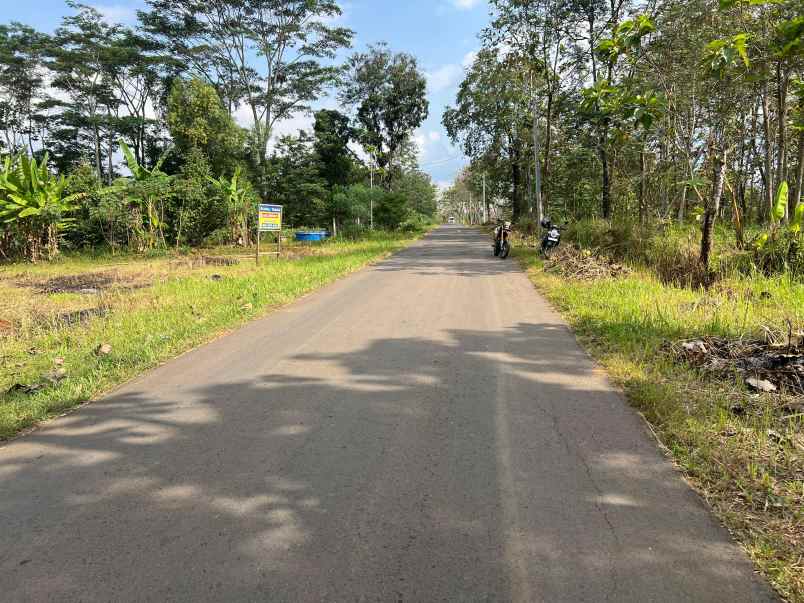 dijual tanah tepi jl sragen kerjo