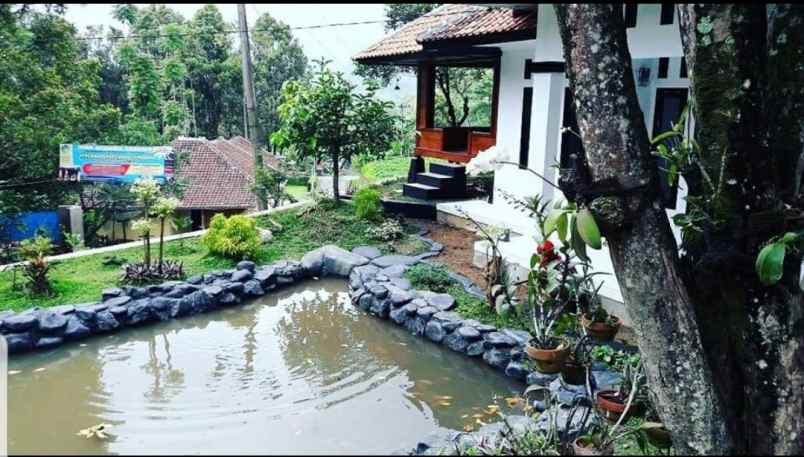 dijual villa bojong