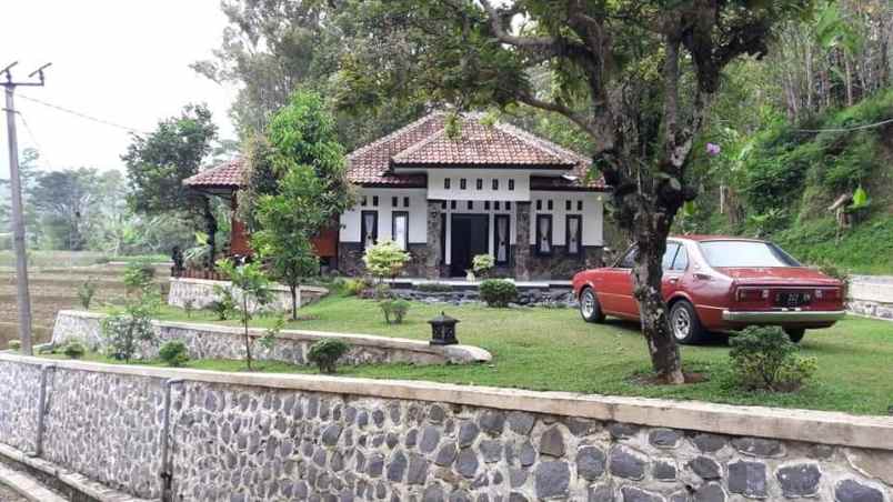 dijual villa bojong