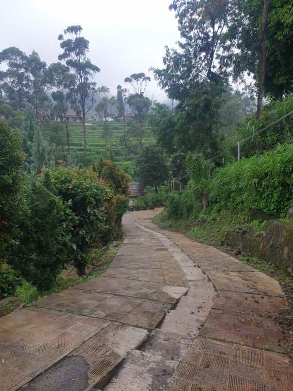 dijual villa desa panunndaan