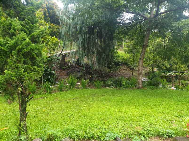 dijual villa desa panunndaan