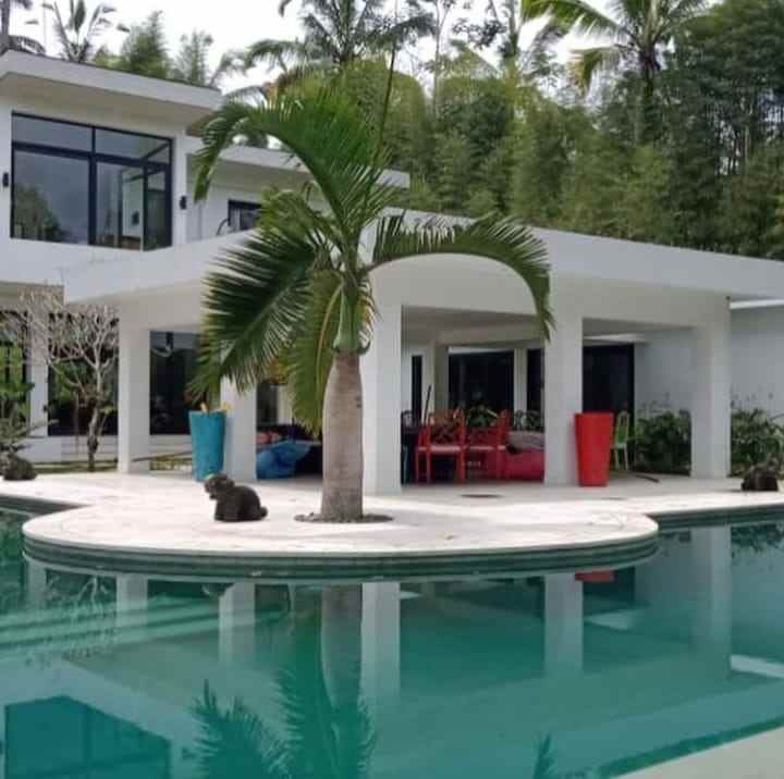 dijual villa view sungai lokasi tegal lalang ubud