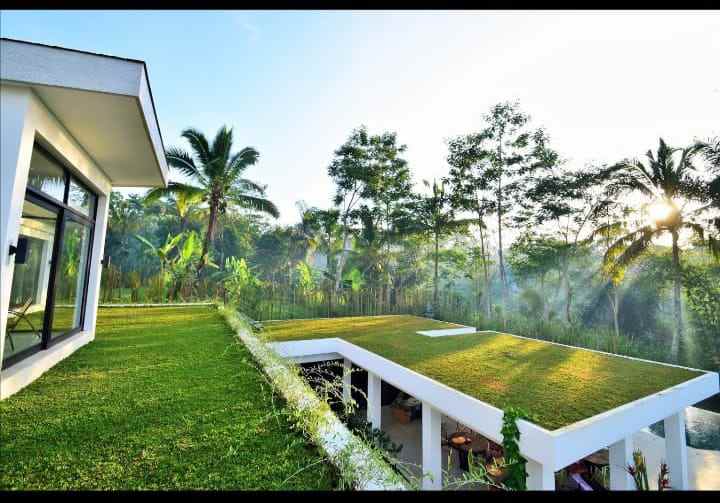 dijual villa view sungai lokasi tegal lalang ubud