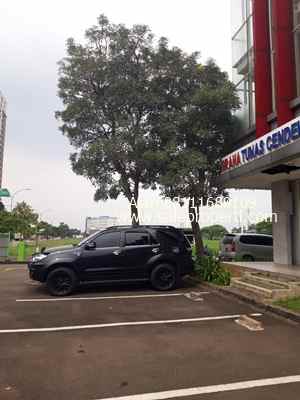 disewakan ruko gudang kantor ayodhya square