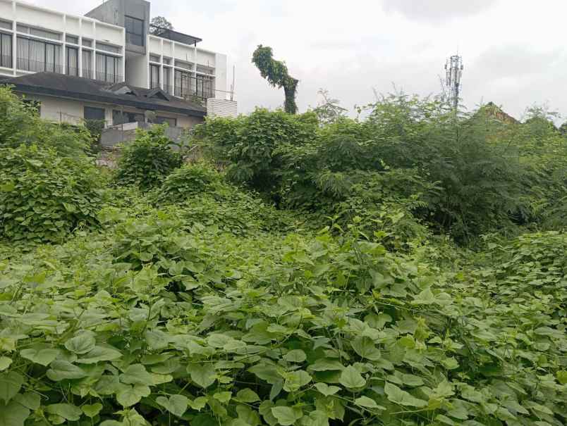 disewakan tanah jalan penjernihan