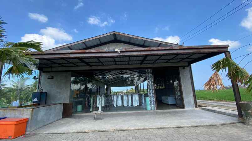 disewakan tanah kedungu pigstone beach bali