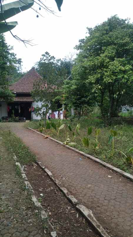 jual rumah bonus kios lokasi ciseeng bogor