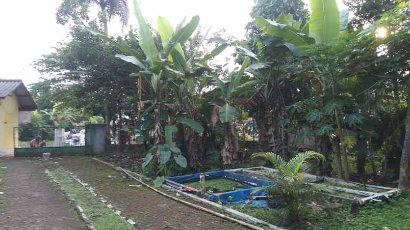 jual rumah bonus kios lokasi ciseeng bogor