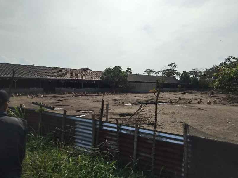 jual tanah garuda sakti km 8 surat shm dan skgr