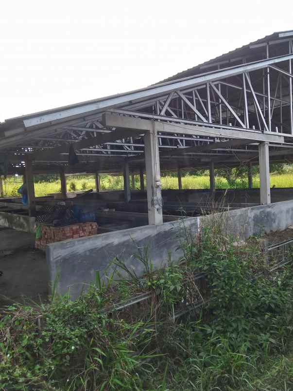 jual tanah garuda sakti km 8 surat shm dan skgr