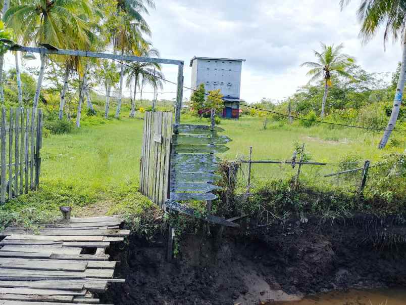 jual tanah ketapang desa baru benua kayong kalbar