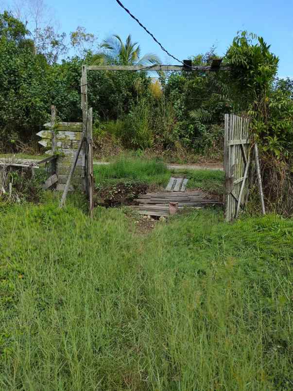 jual tanah ketapang desa baru benua kayong kalbar