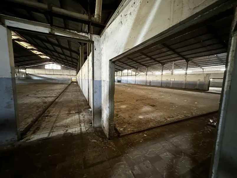 jual tanah kosong shm di jalan puntodewo sleman jogja