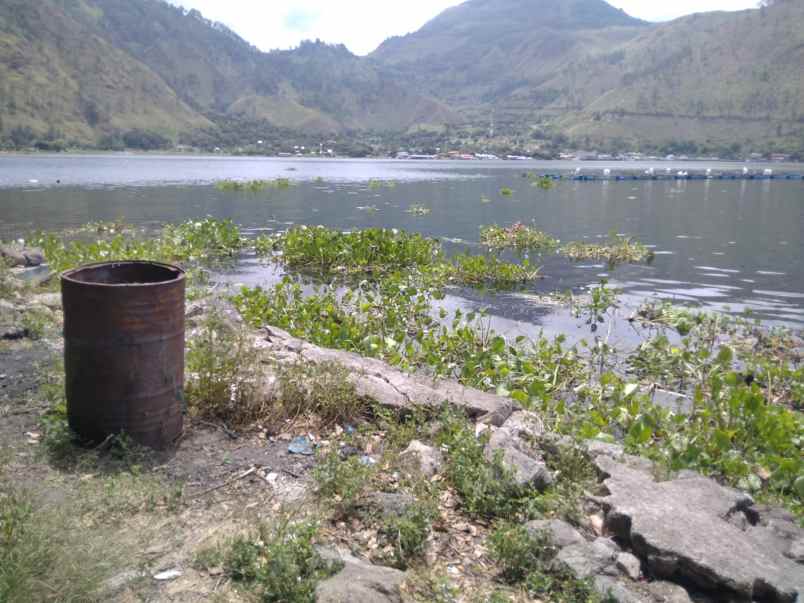 jual tanah langsung di bibir pantai danau toba