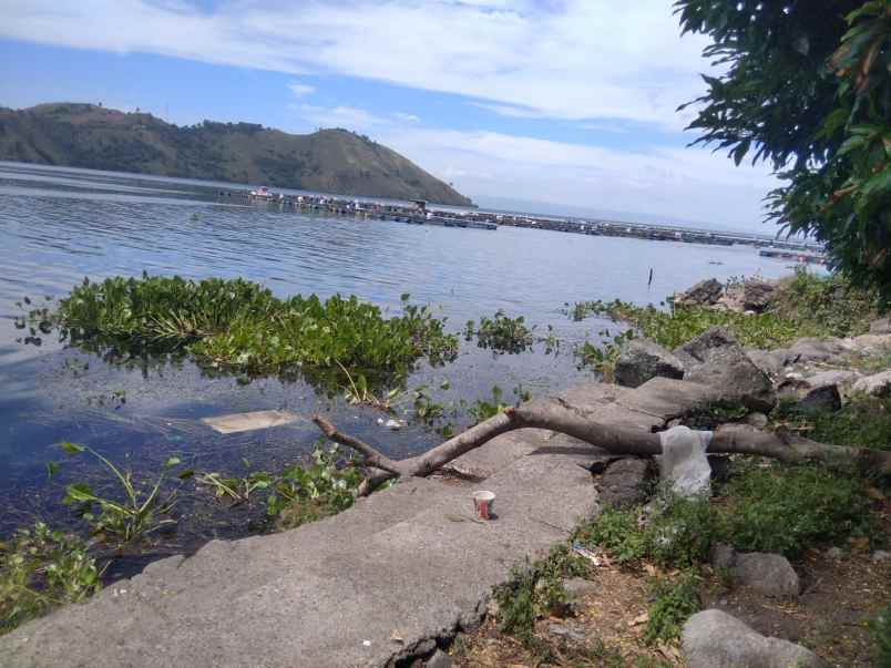 jual tanah langsung di bibir pantai danau toba