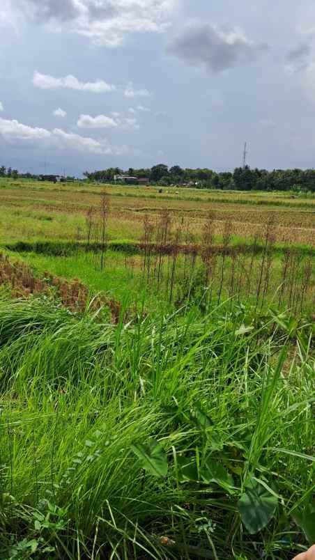 jual tanah pinggir jalan wates bantul