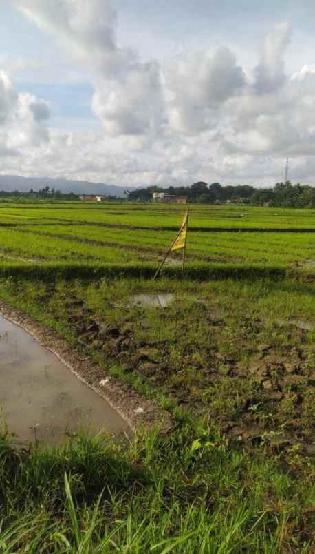 jual tanah pinggir jalan wates bantul