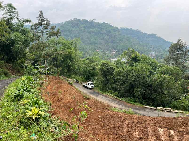 kebun alpukat 1200m jalan dpu ngargoyoso