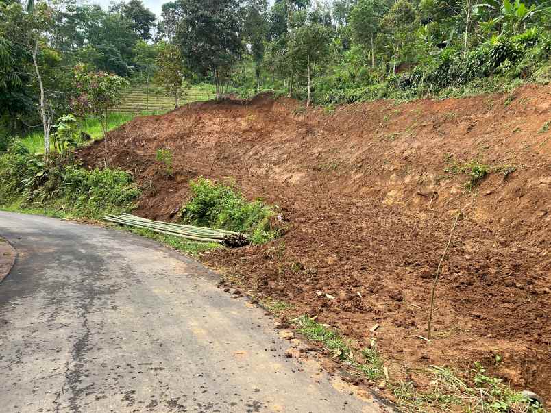 kebun alpukat 1200m jalan dpu ngargoyoso