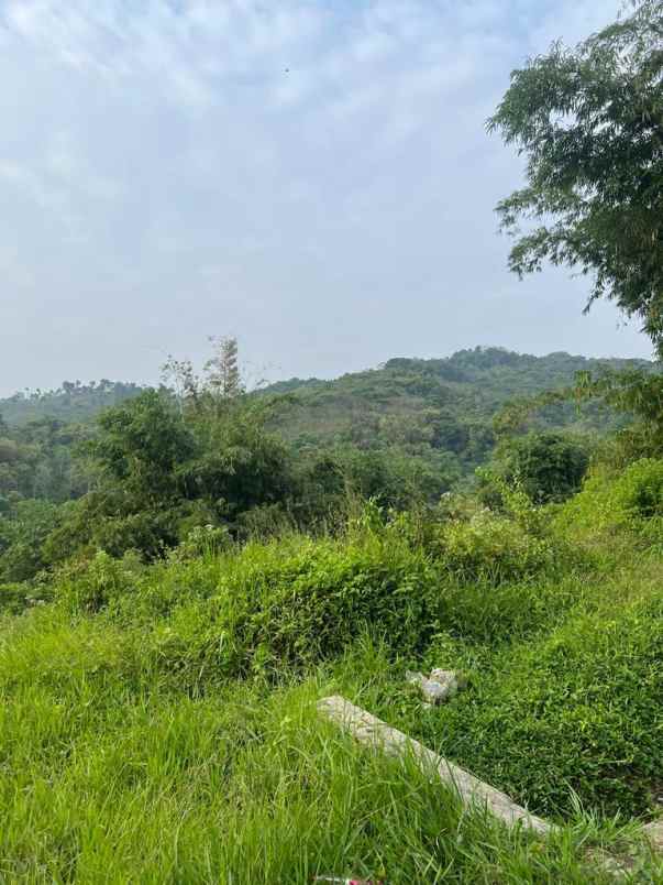 lahan 20 hektare shm potensi wisata perkebunan