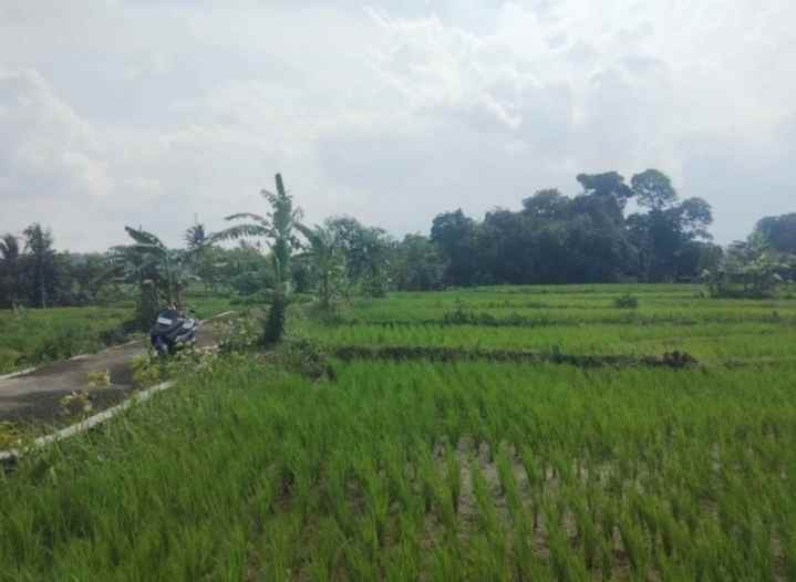lokasi view gunung di rando bawa mandirancan kuningan