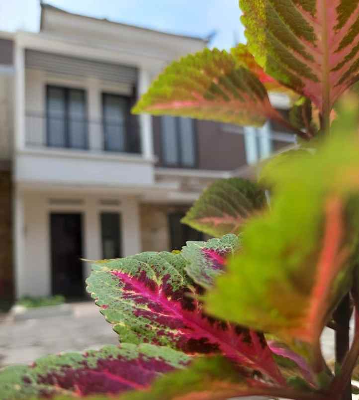 rumah jalan acing cinagka