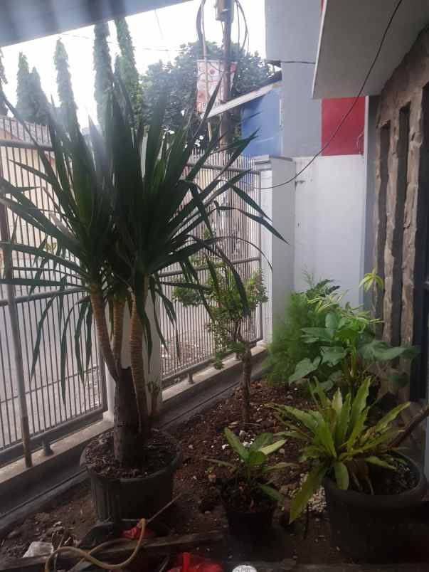 rumah jl wiru indah no 8 parung