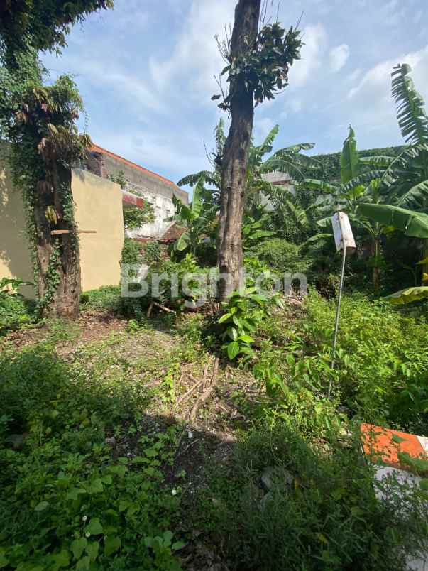 rumah toko gembong sawah sidodadi kapasan row 1 mobil