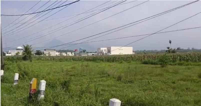tanah 0 jalan raya di raya paiton probolinggo dnd