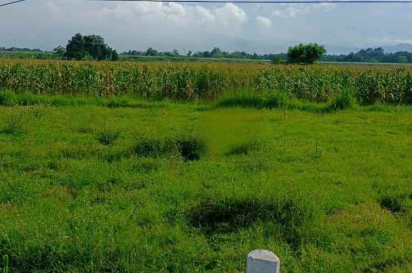 tanah 0 jalan raya di raya paiton probolinggo dnd
