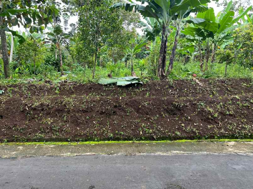 tanah 250 juta bonus pohon durian karanganyar