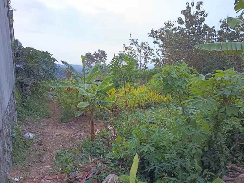 tanah bulusan tembalang semarang
