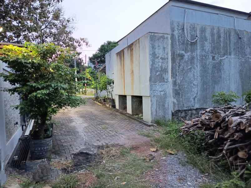 tanah bulusan tembalang semarang