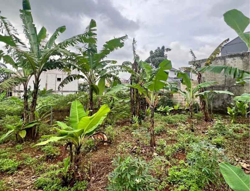tanah dekat undip gondang tembalang semarang