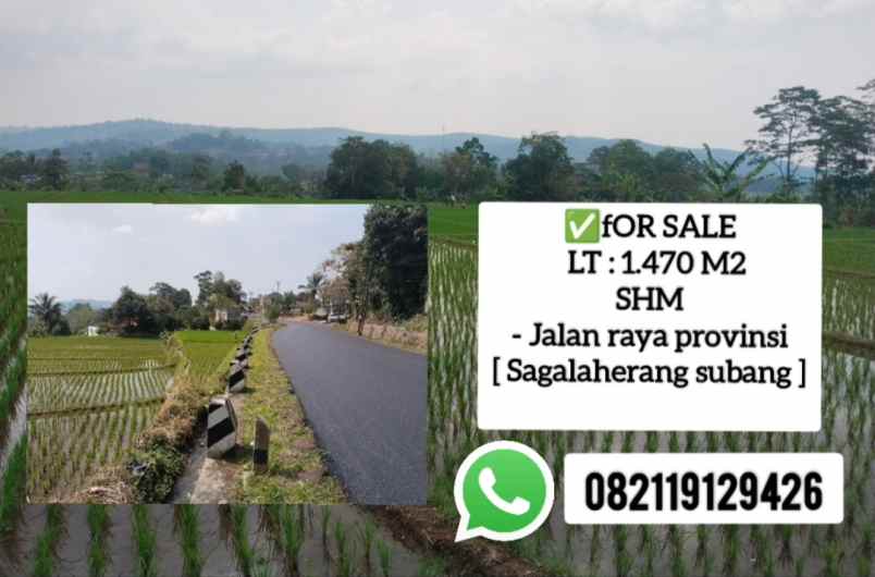 tanah di jalan raya provinsi sagalaherang subang
