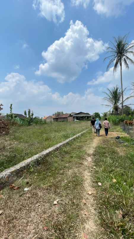 tanah dijual dekat kampus itera murah